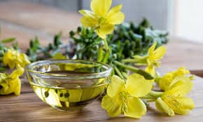 Evening Primrose Oil export from Thailand — Jit Aree