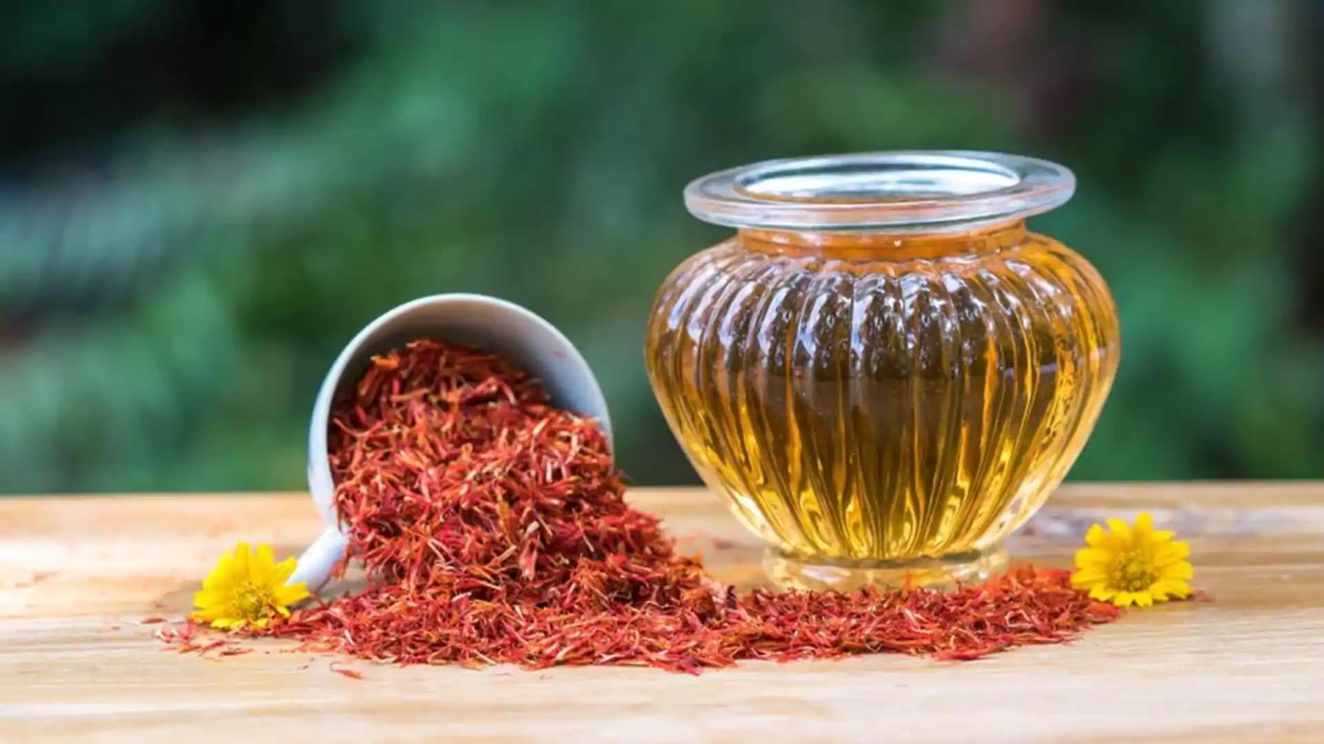 Safflower Oil export from Thailand — Jit Aree